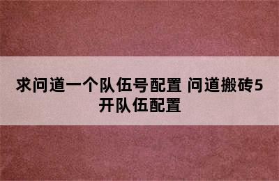 求问道一个队伍号配置 问道搬砖5开队伍配置